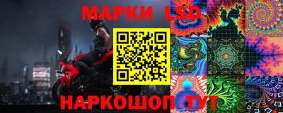 дмт Аргун