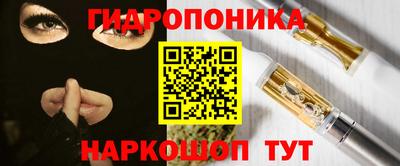 дмт Аргун