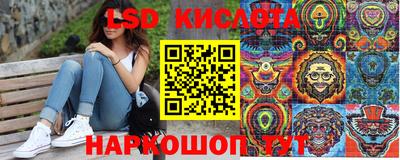 дмт Аргун