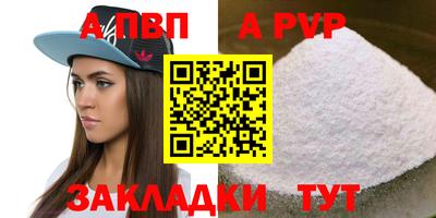дмт Аргун