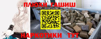 дмт Аргун