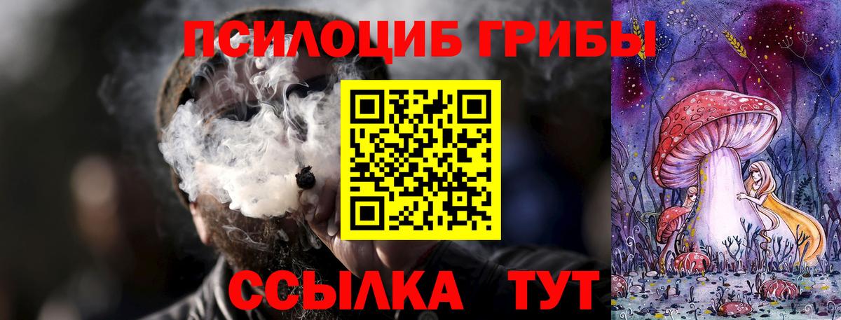 Псилоцибиновые грибы MAGIC MUSHROOMS  Вход с VPN  Выборг 